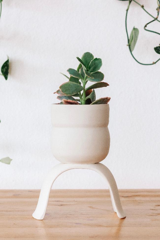 Ceramic Raised Plant Pot