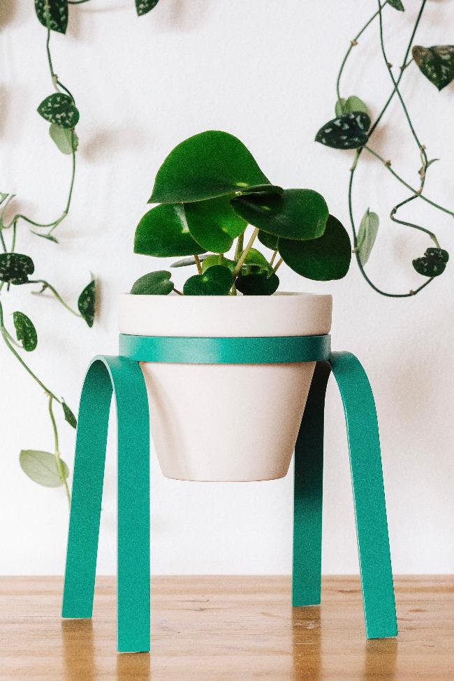 Metal Plant Stand with Pot