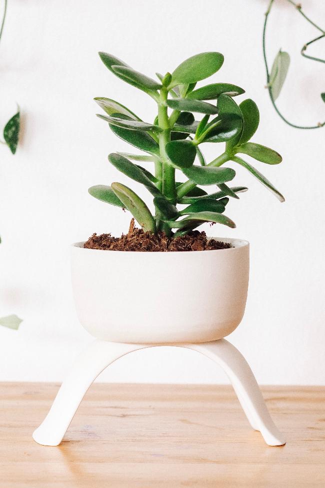 Ceramic Raised Plant Pot