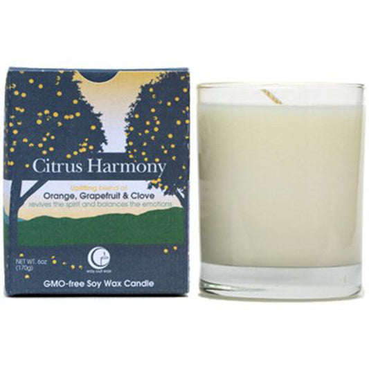 Citrus Harmony - Clear Glass Tumbler