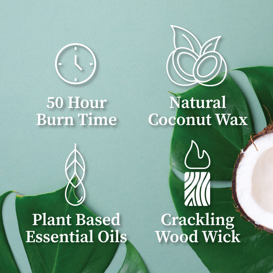 Lake Tahoe | Passport Wood Wick Candle