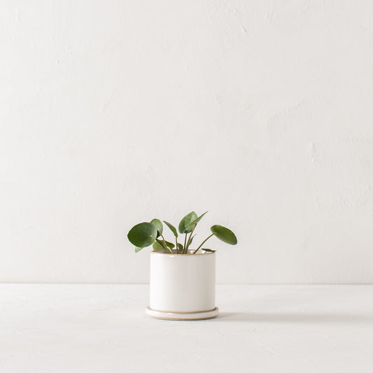4" Minimal Planter | Stoneware