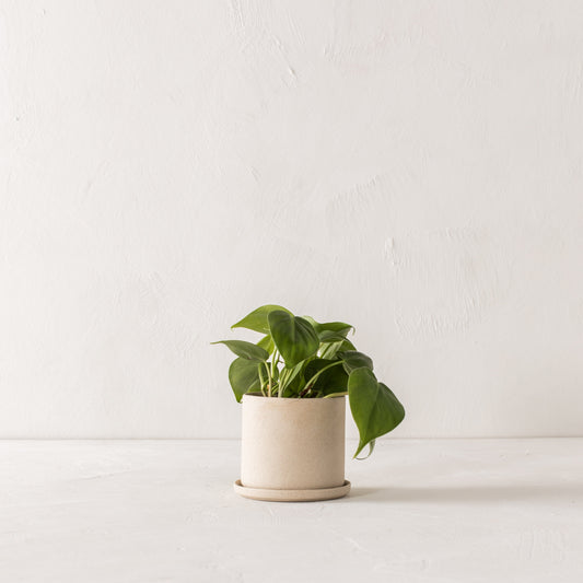 4" Minimal Planter | Raw Stoneware