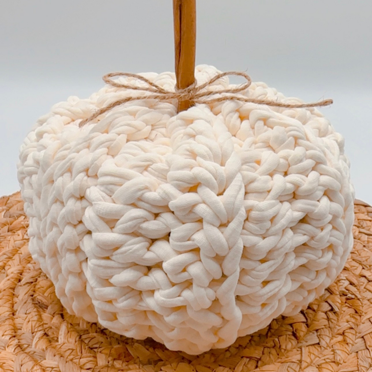 Crochet Pumpkin DIY Kit by Ganxxet x LilyBirdCrochet