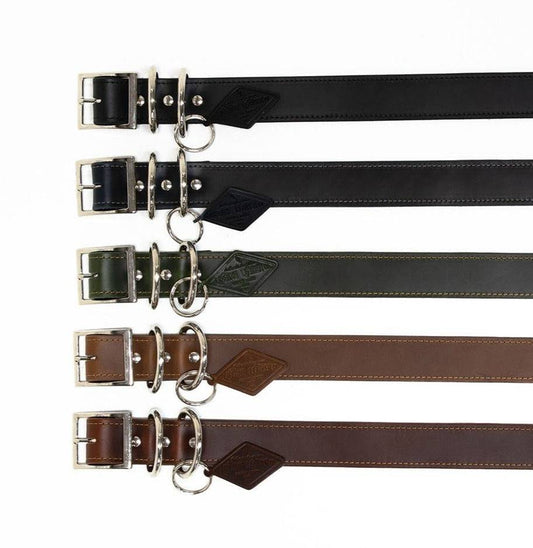 Leather Dog Collar - Designer All for American