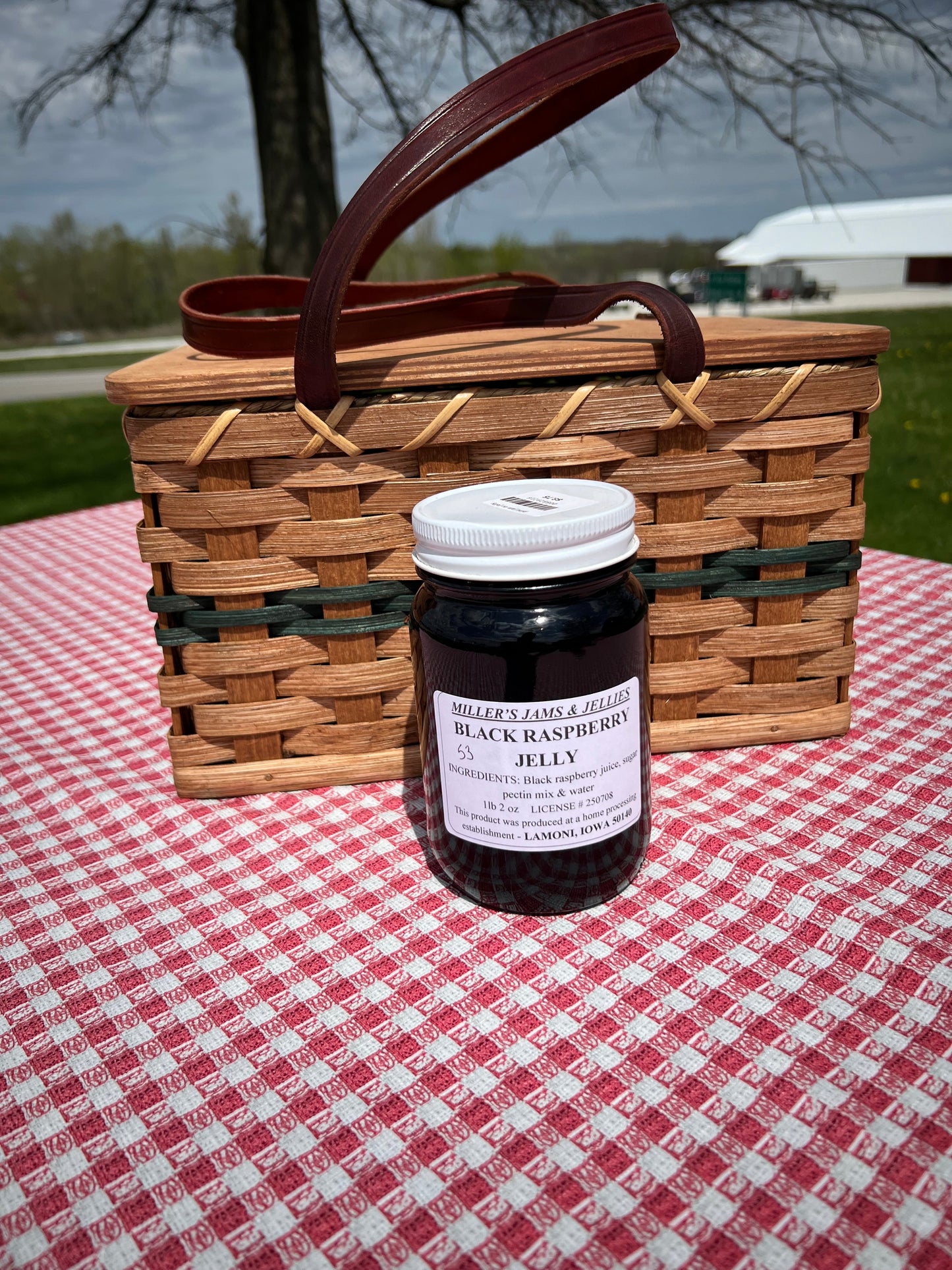 Miller’s Black Raspberry Jelly | Authentic Local Amish-Made Seedless Spread