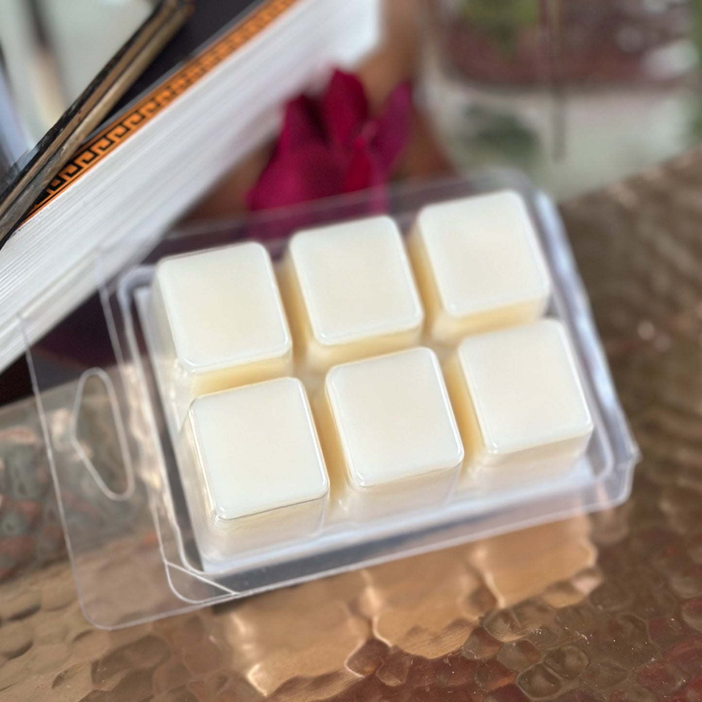Go Away I'm Reading Wax Melt