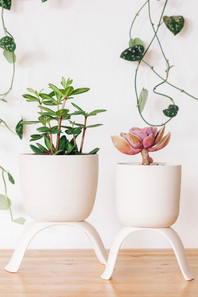 Ceramic Raised Plant Pot