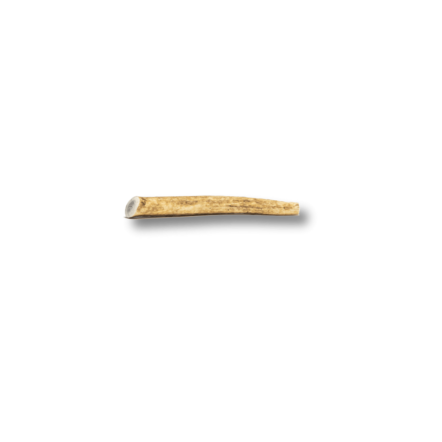 Whole Elk Antlers for Dogs | All-Natural Antler Dog Chews