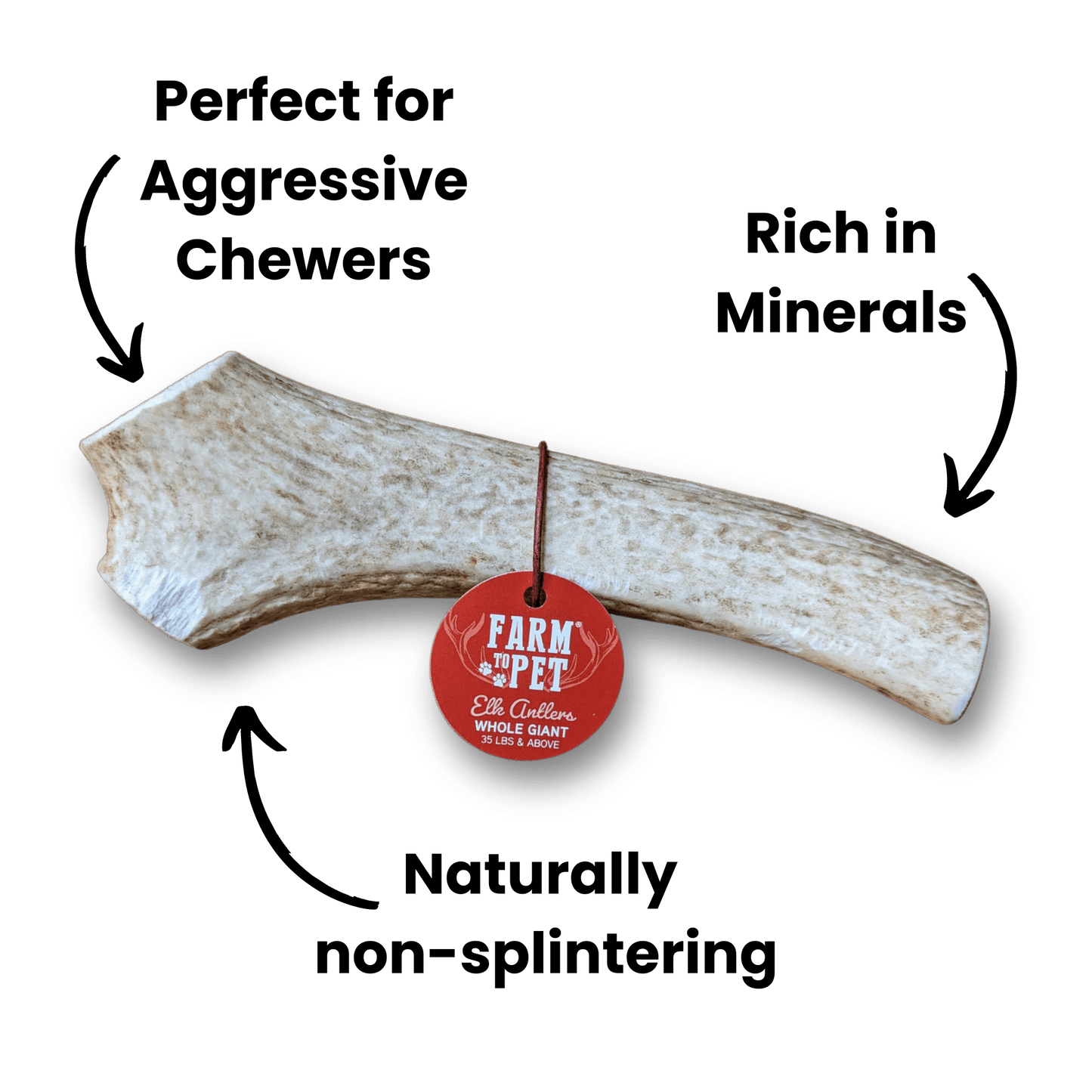 Whole Elk Antlers for Dogs | All-Natural Antler Dog Chews