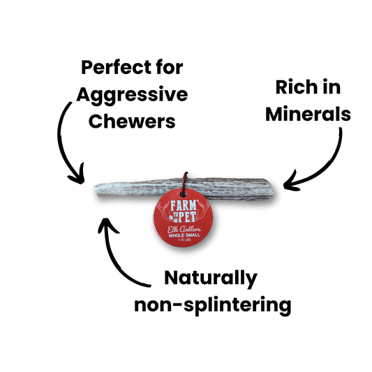 Whole Elk Antlers for Dogs | All-Natural Antler Dog Chews