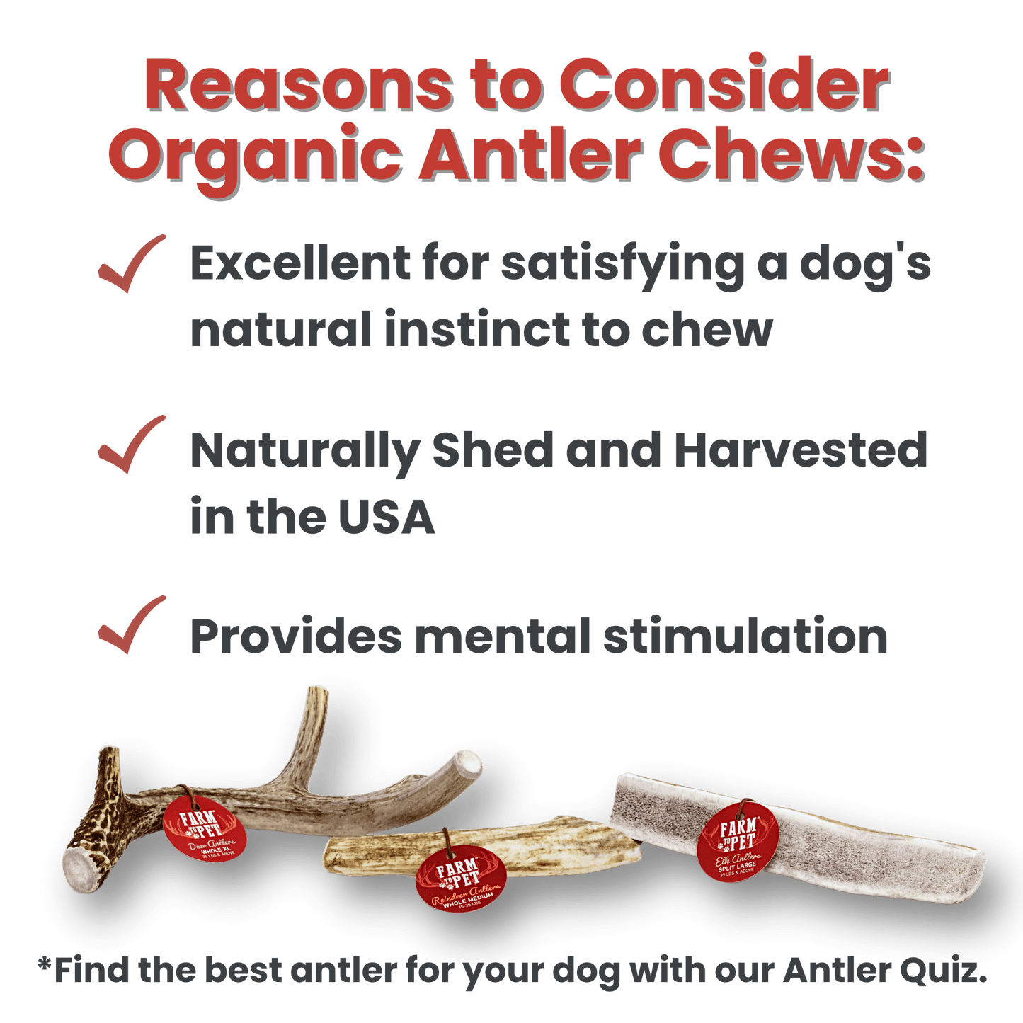 Whole Elk Antlers for Dogs | All-Natural Antler Dog Chews