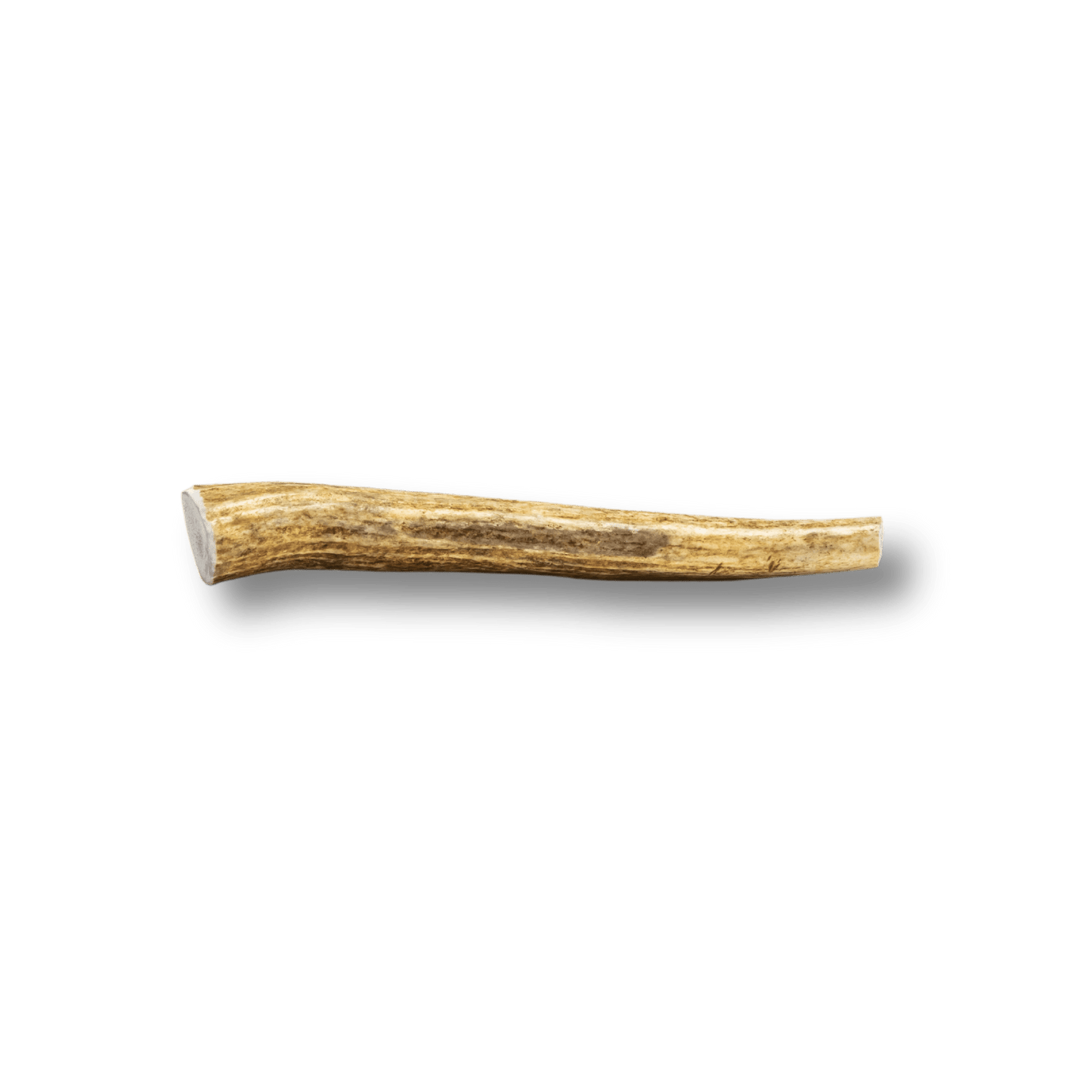 Whole Elk Antlers for Dogs | All-Natural Antler Dog Chews