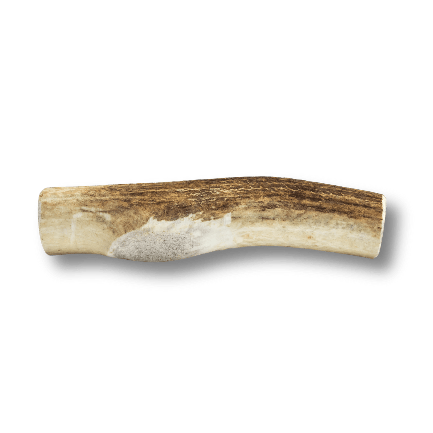 Whole Elk Antlers for Dogs | All-Natural Antler Dog Chews