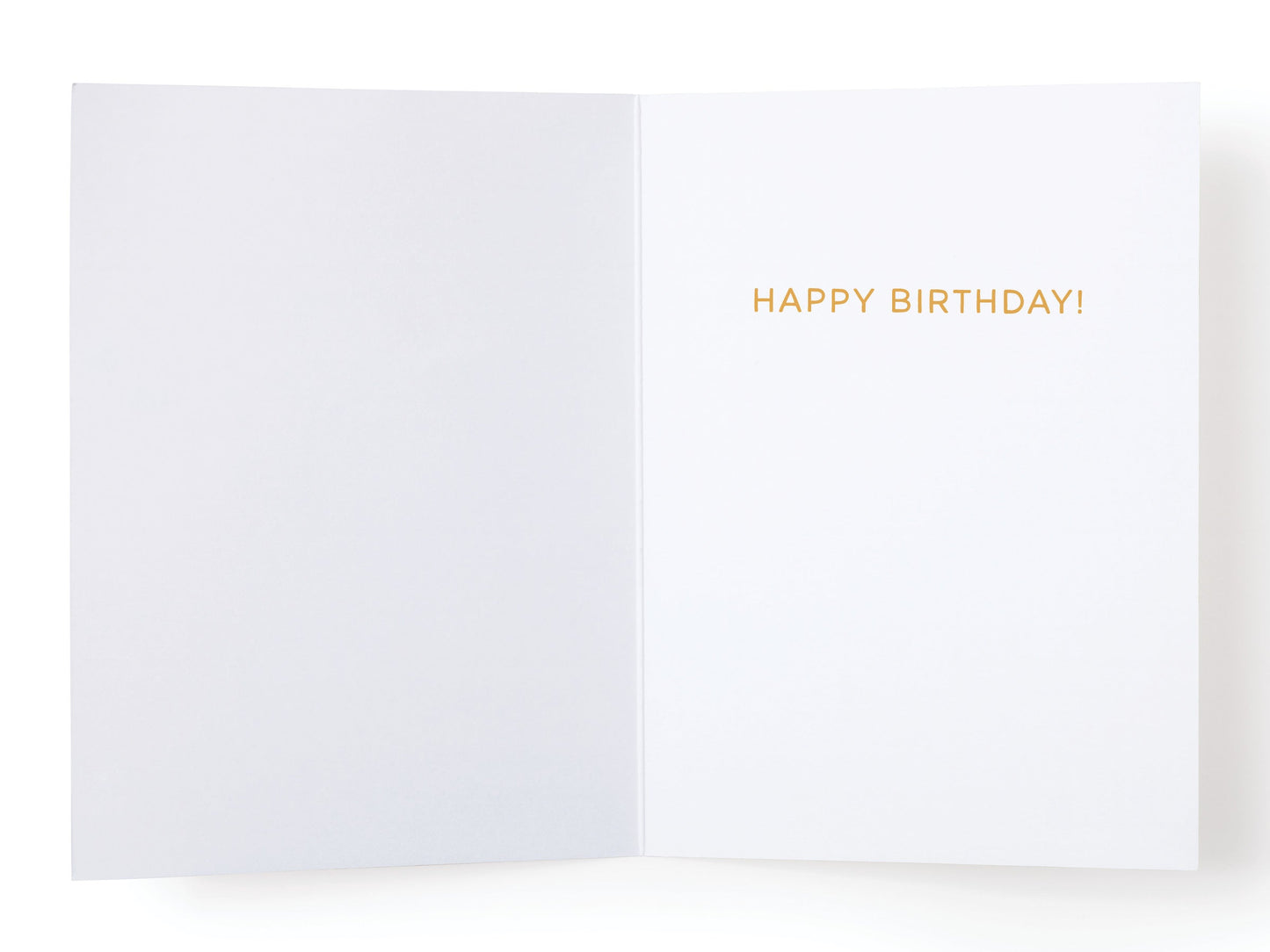 Older Not Wiser Birthday Greeting Card