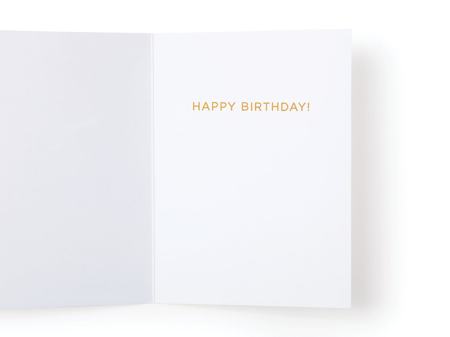 Older Not Wiser Birthday Greeting Card