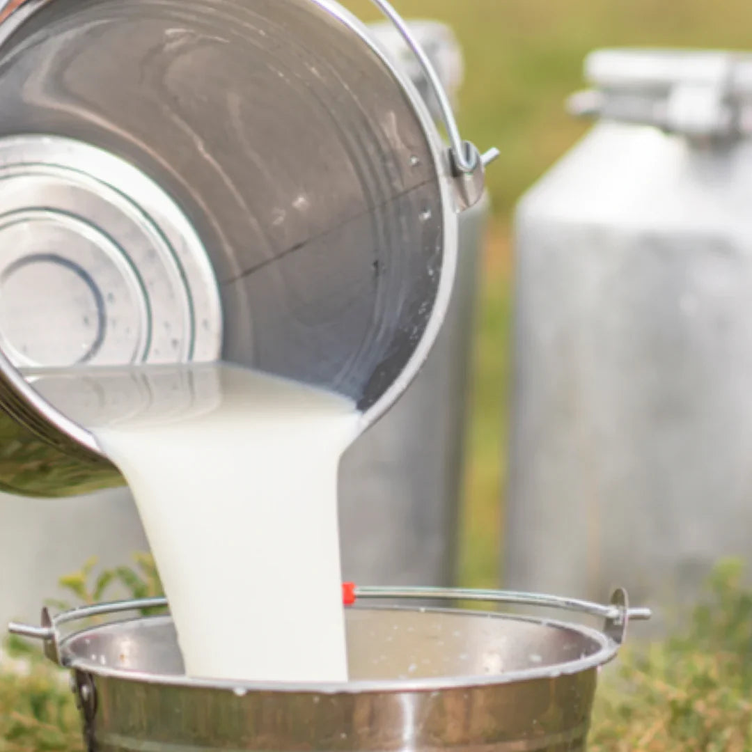 Fresh Face Cream Facial Bar
