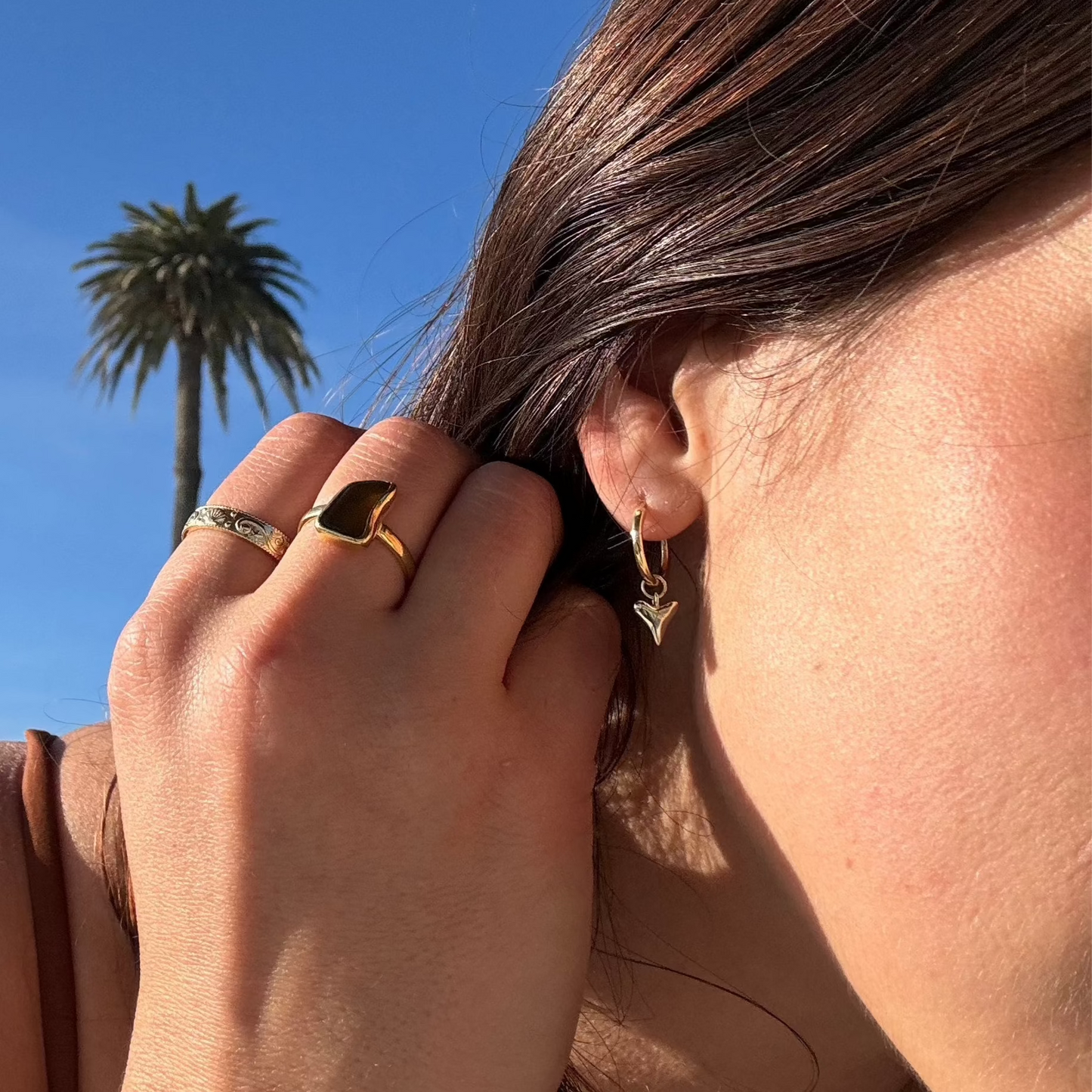 Shark Tooth Hoops