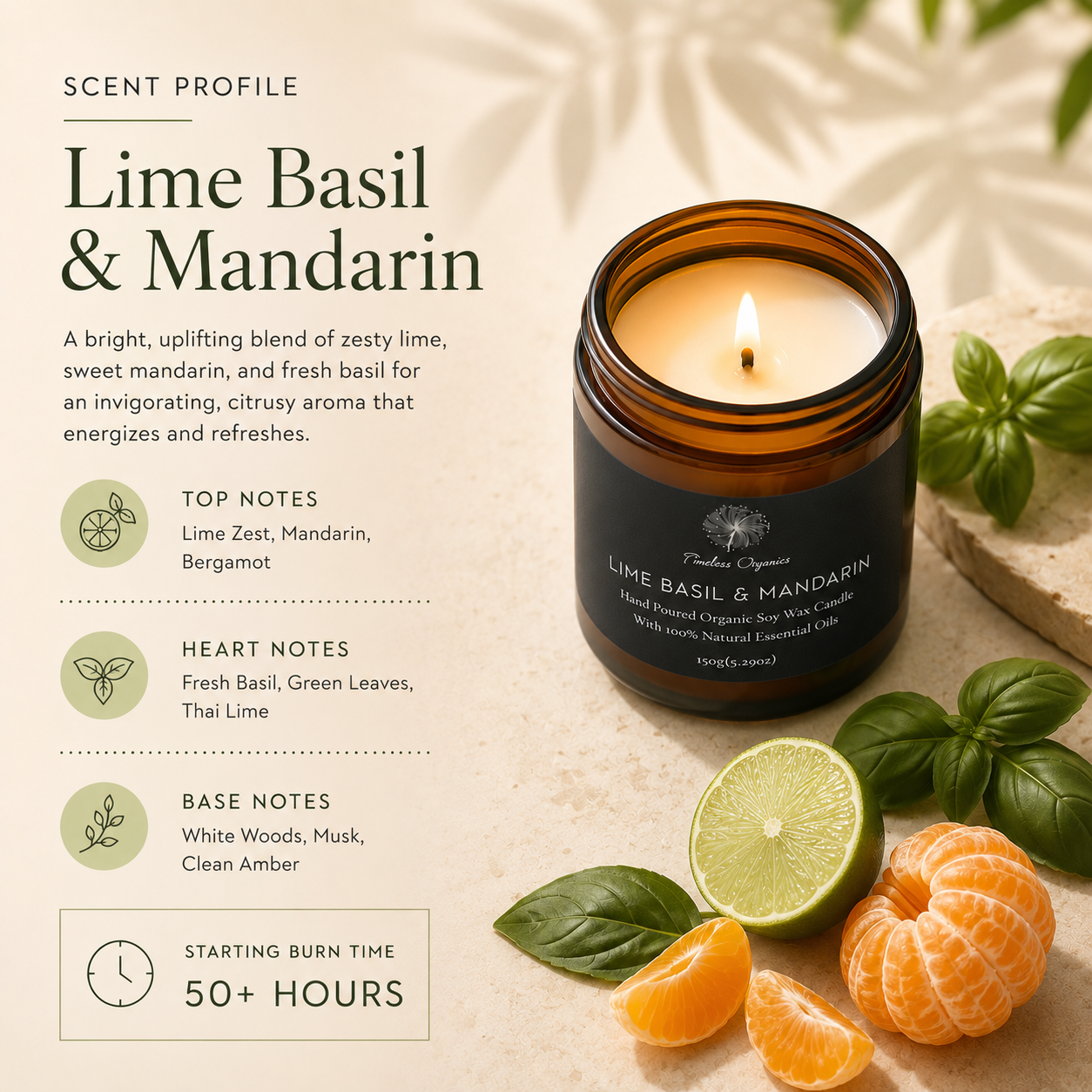 Timeless Candle - Lime + Basil + Mandarin