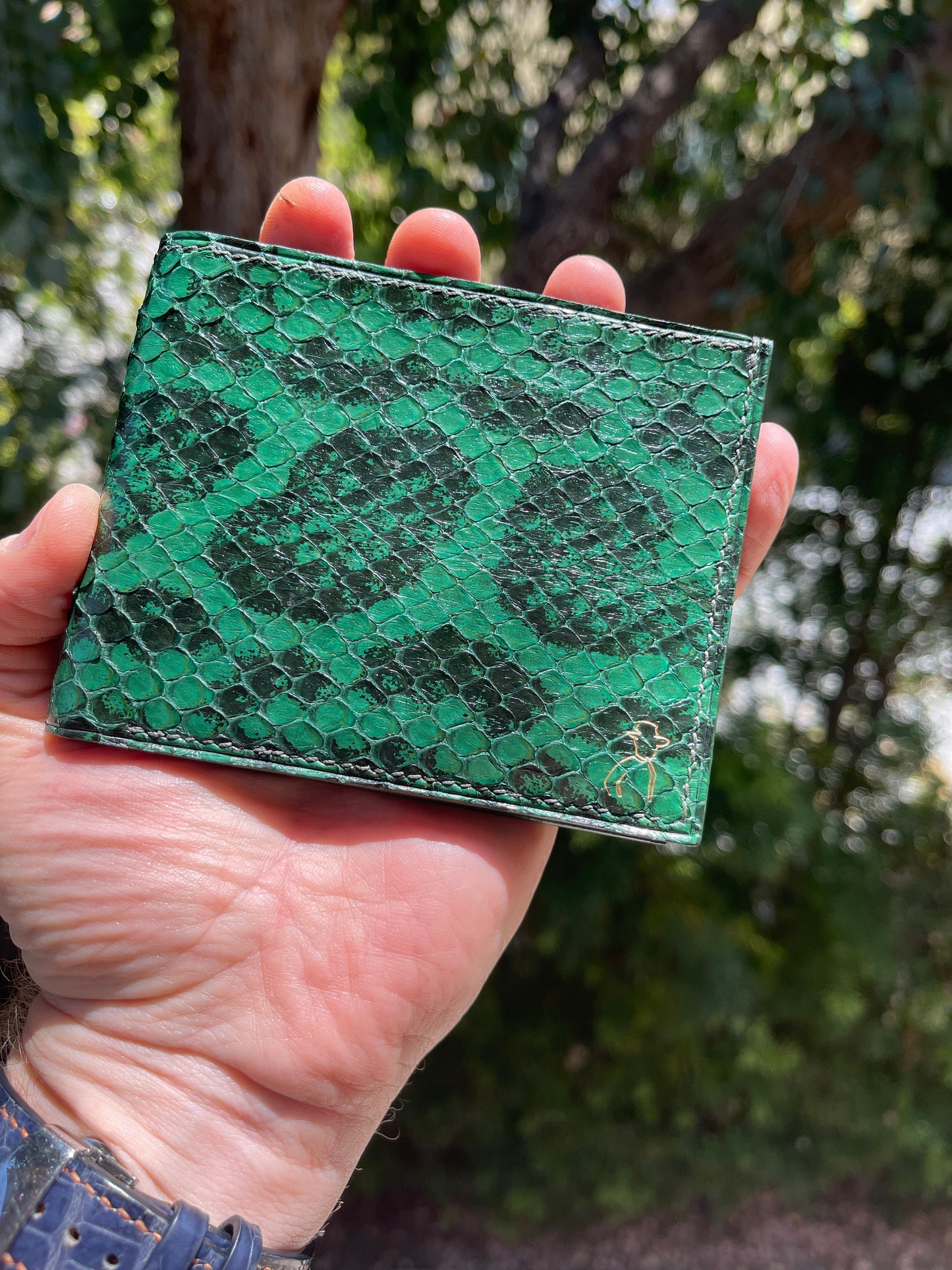 Snake Skin Wallet - Genuine Anaconda Leather