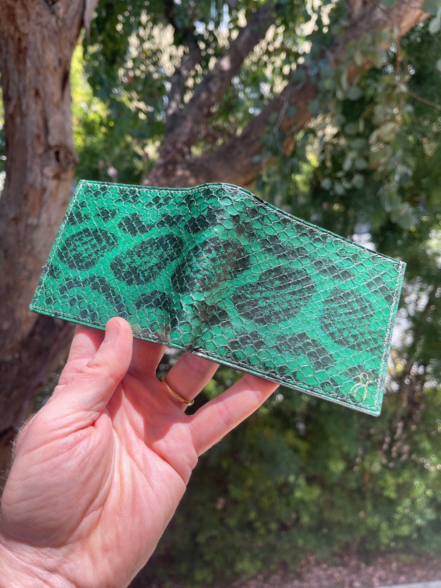 Snake Skin Wallet - Genuine Anaconda Leather
