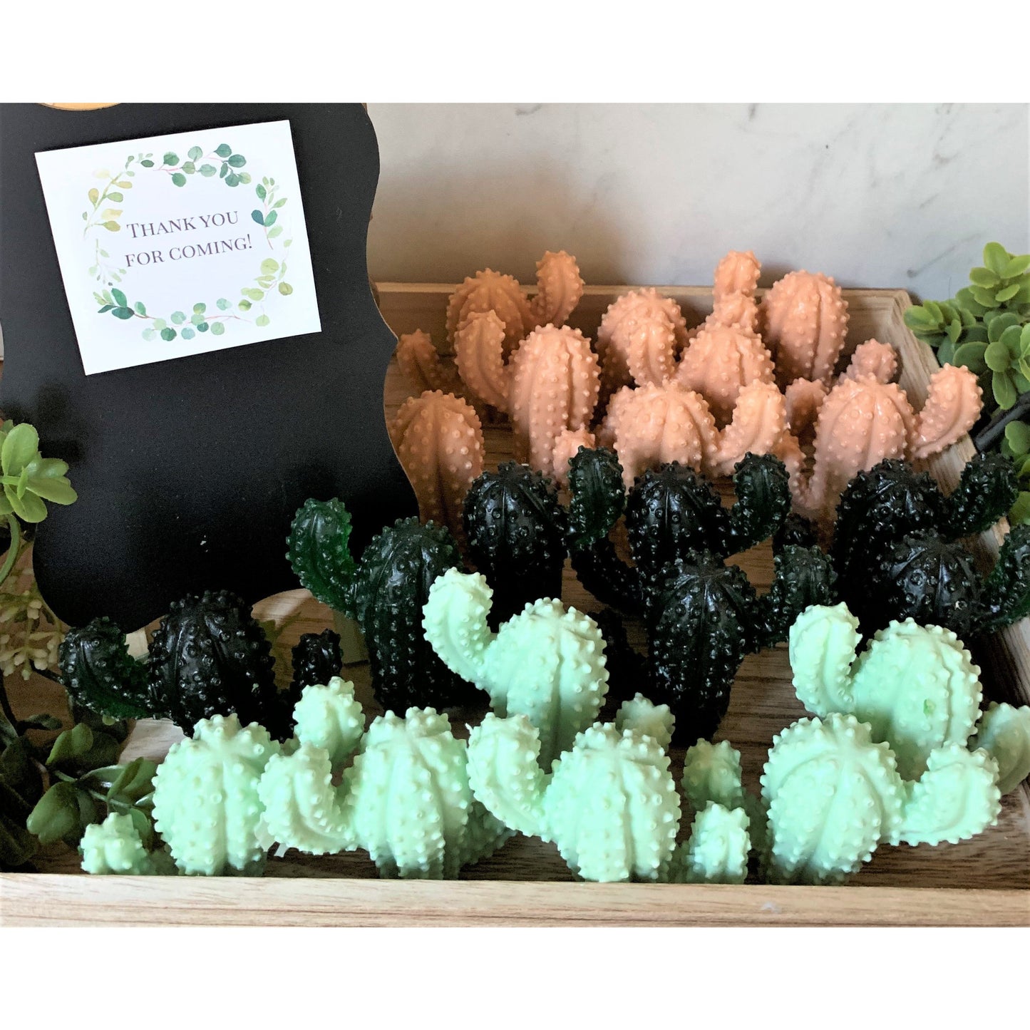 Cactus Soap
