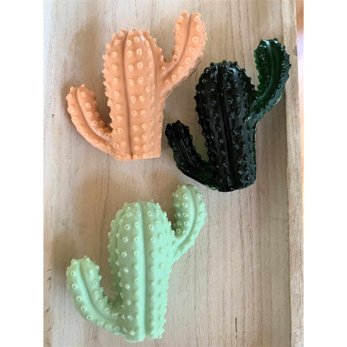 Cactus Soap
