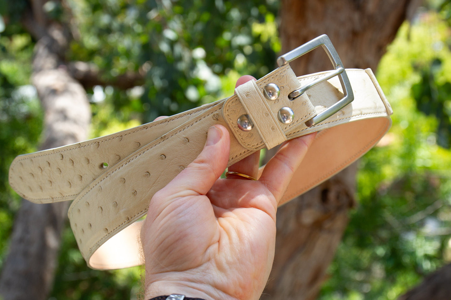 Ostrich Leather Belt - Ecru