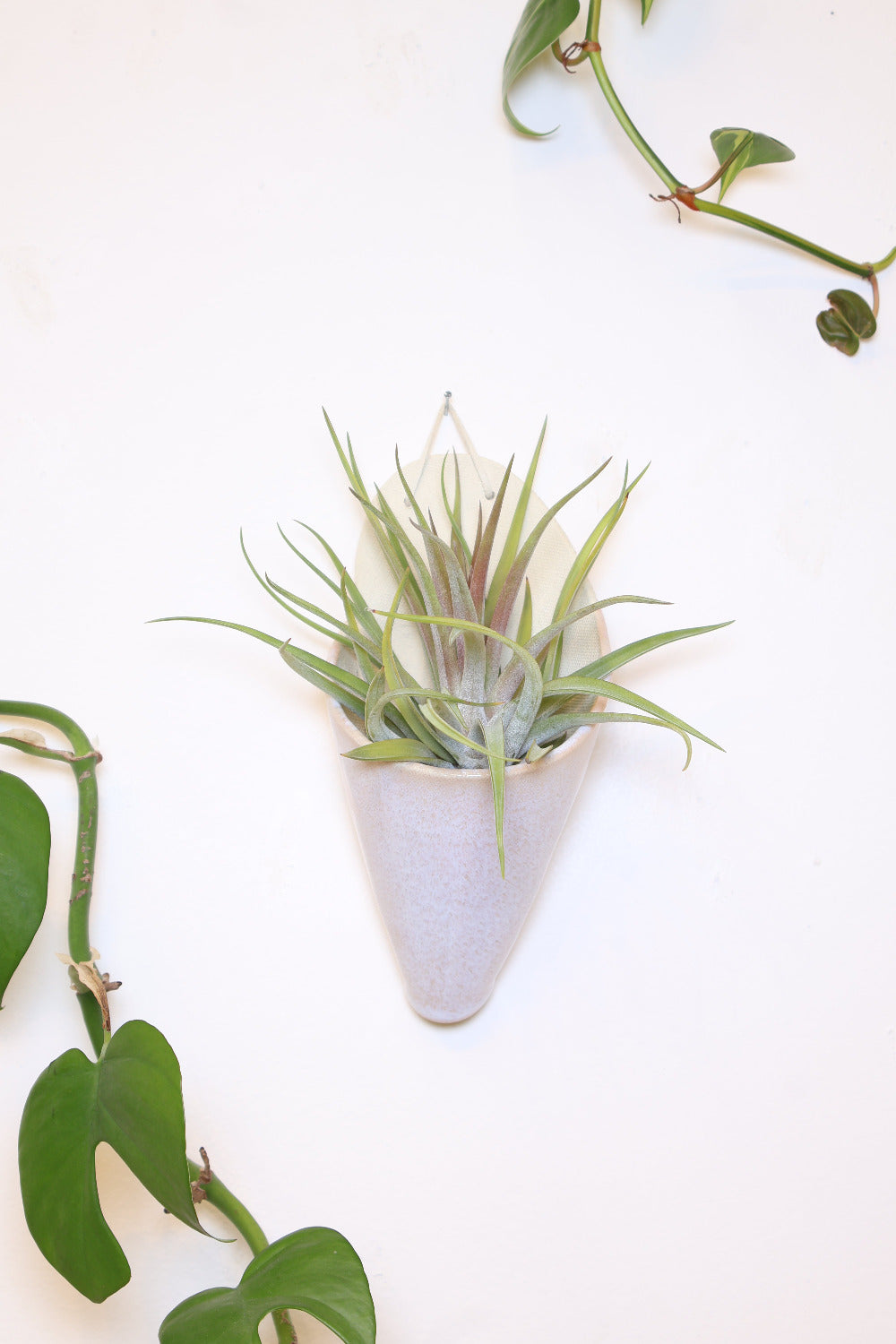 Large Ceramic Wall Planter