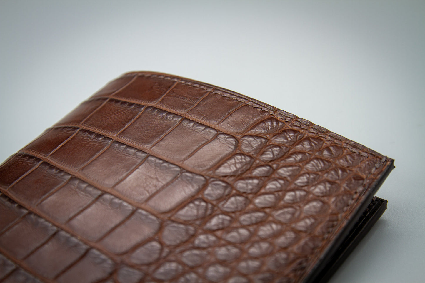 Alligator Travel Organizer - Passport Wallet