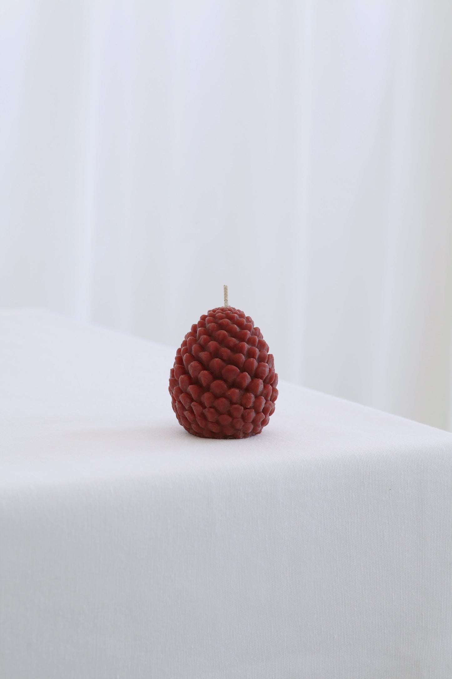 Mo&Co Home Exclusive: Sculpted Beeswax Pine Cones | 2 Sizes