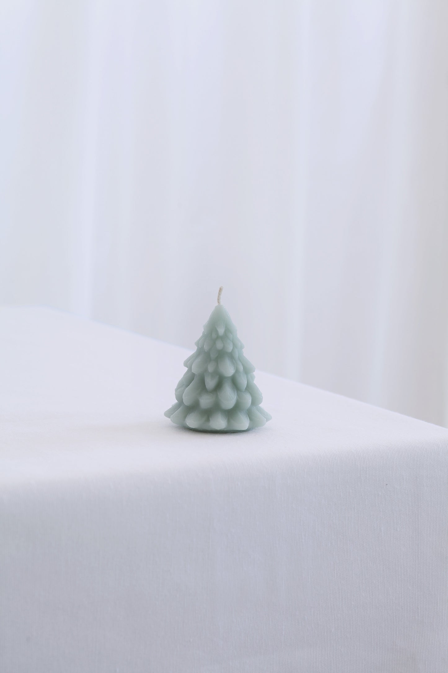 Mo&Co Home Exclusive: Sculpted Beeswax Trees | 2 Sizes