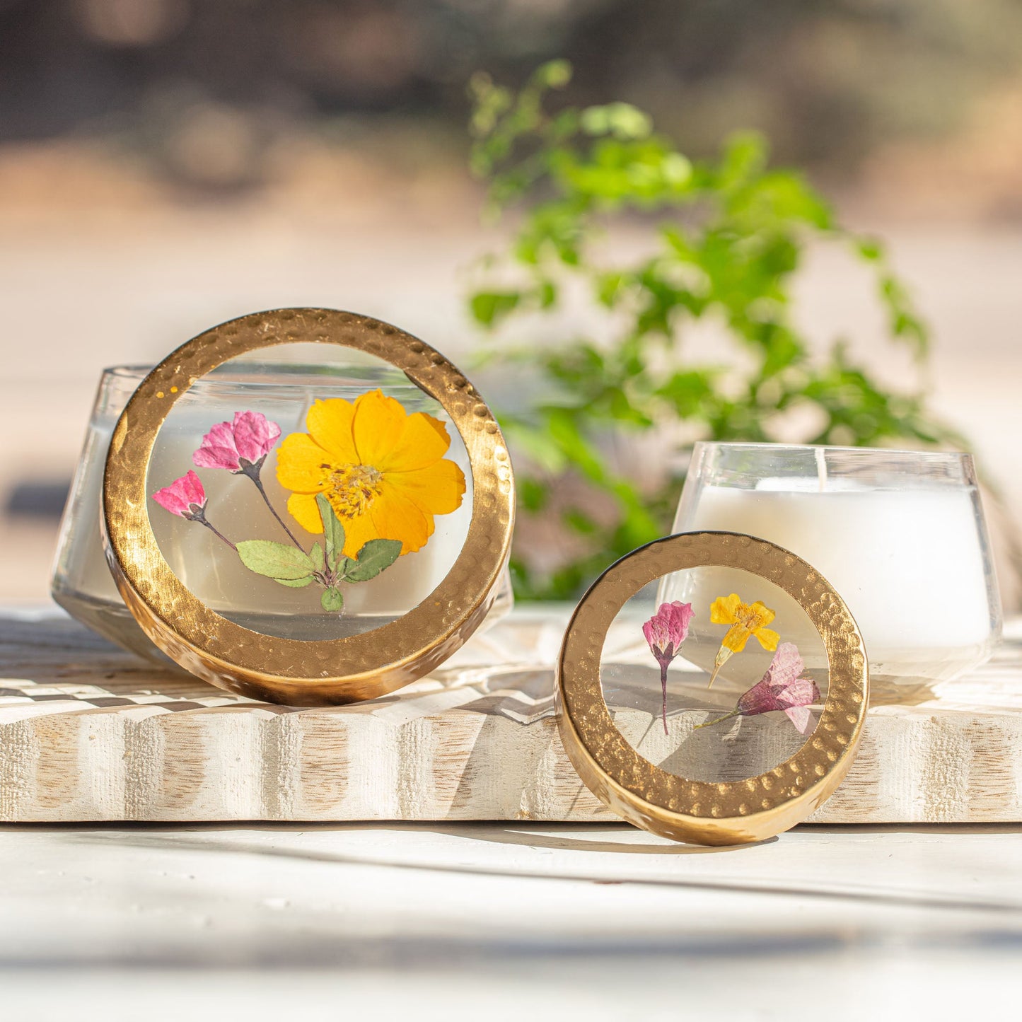 Lemon Blossom Medium Pressed Floral Candle