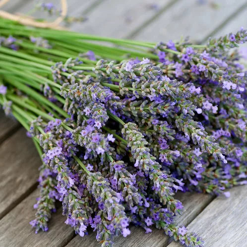 Lavender - 8 oz. Tin