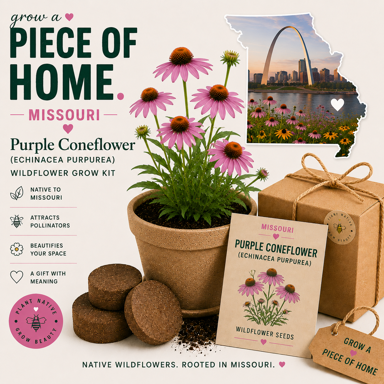 Missouri Purple Coneflower Grow Kit