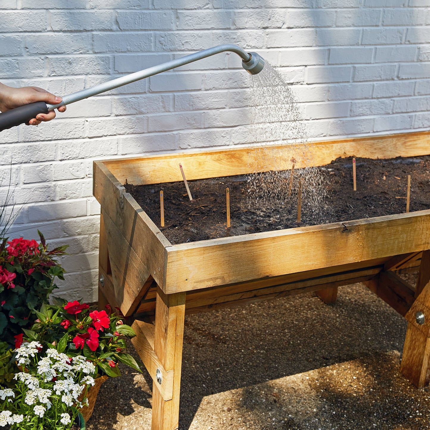 Seed Pops - Garden
