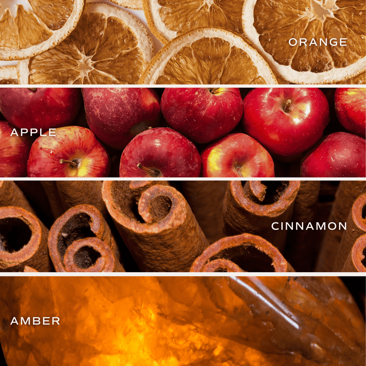 Autumn Orchard Soy Candle - Patterned 9 oz - Clear Jar (Mulled Cider)