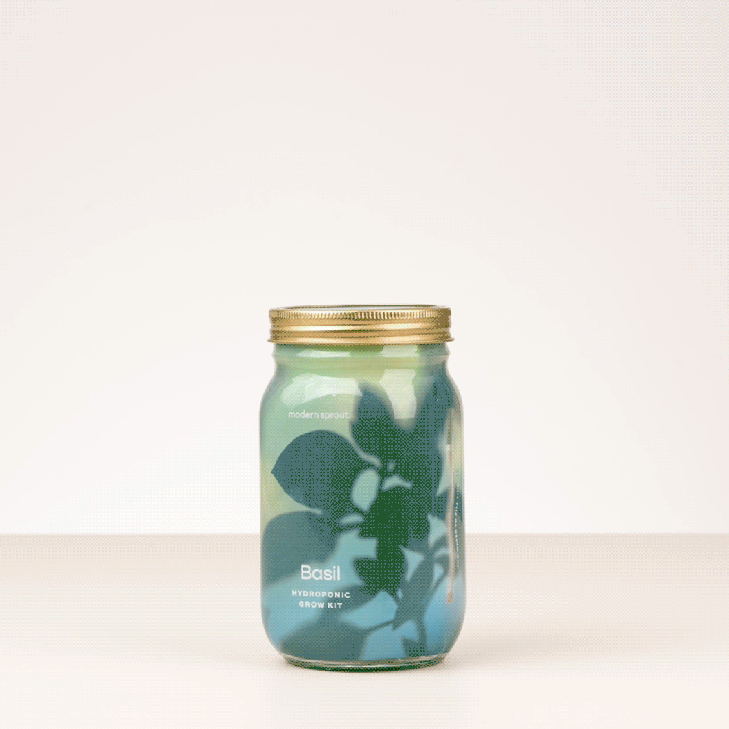 Garden Jars - Organic Herbs