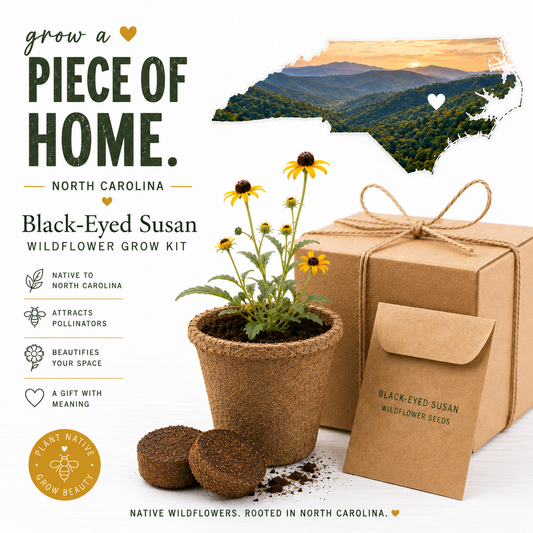 North Carolina Wildflower Grow Kit