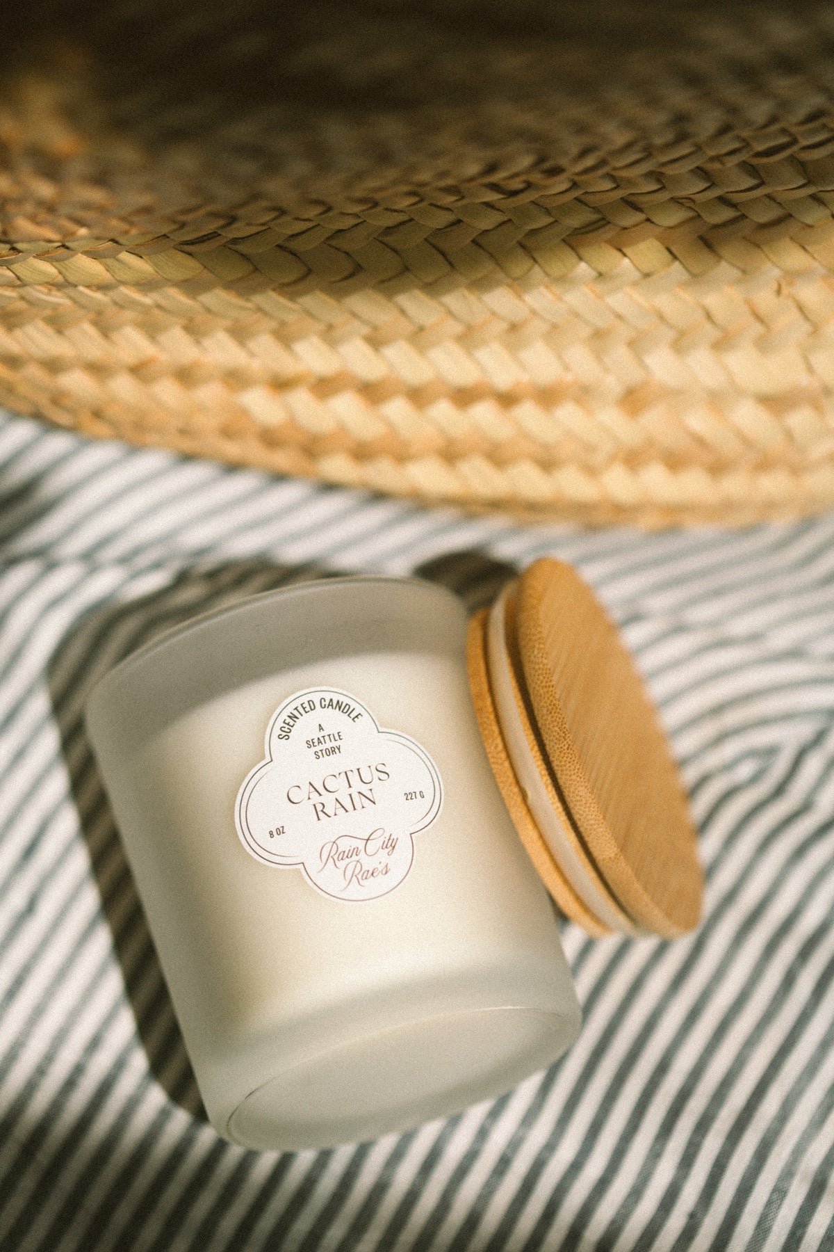 Cactus Rain 8 oz Frosted Candle | White