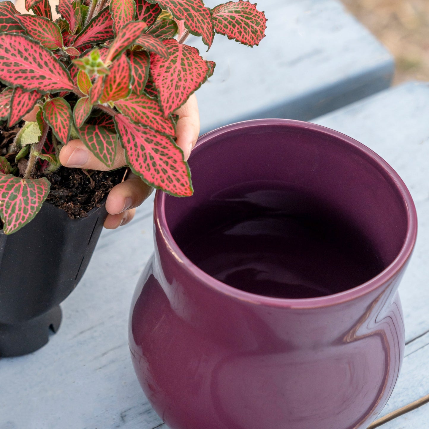 Violet Purple Plant Pot