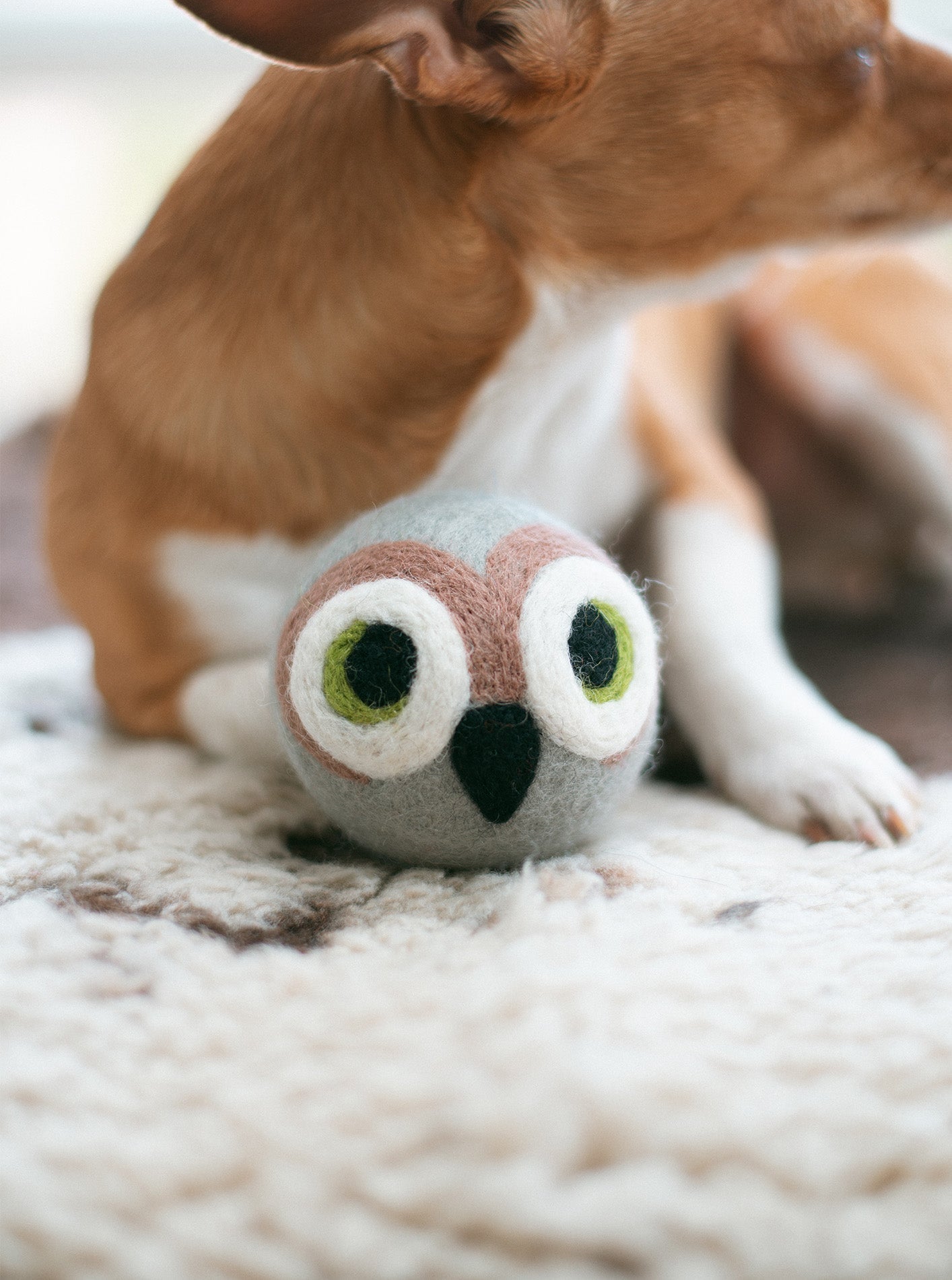 WISE OLD OWL BEASTBALL