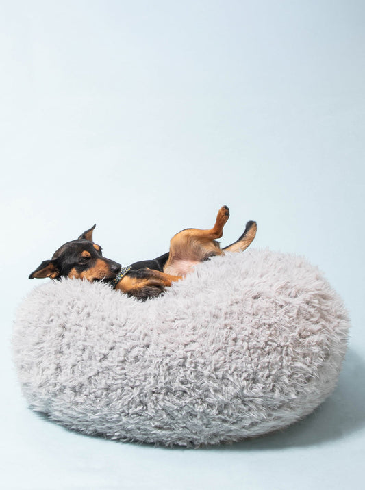 POD DOG BED