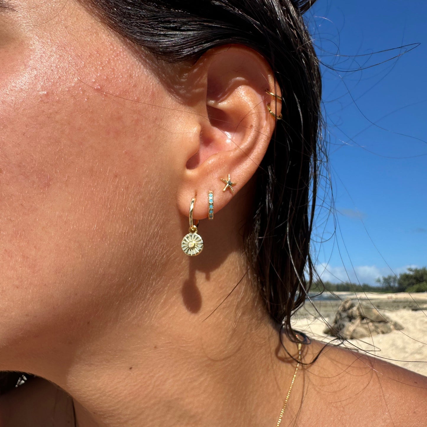 Julie Hoops