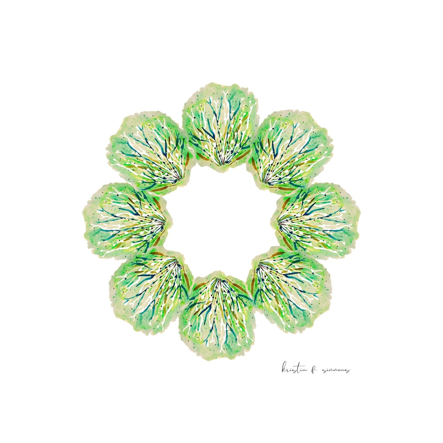 Sea Cabbage Star