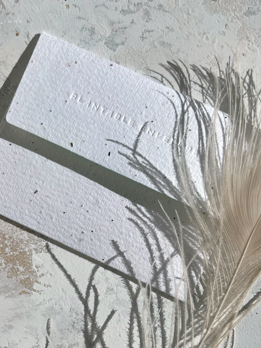 Winter Houses - Seeded Holiday Card