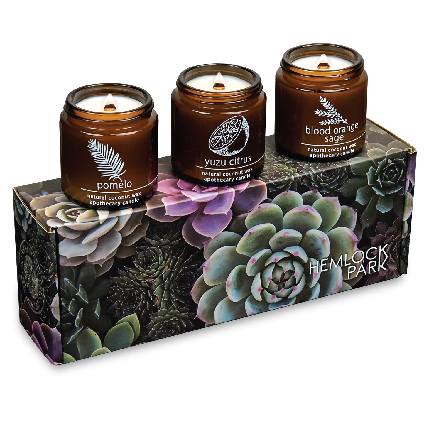 Citrus Apothecary Candle Trio