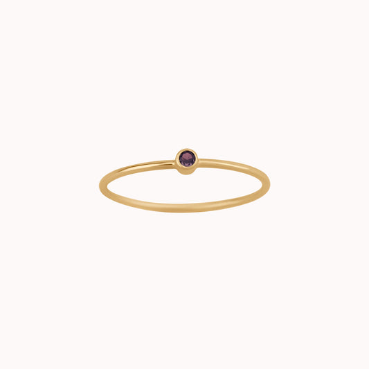 Tiny February Birthstone Ring ∙ Amethyst