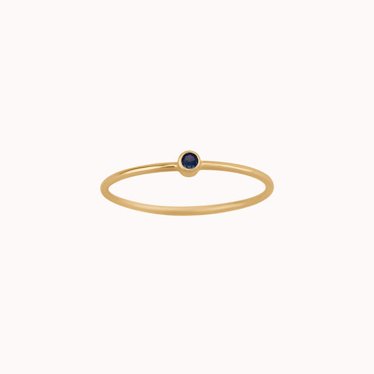 Tiny September Birthstone Ring ∙ Sapphire