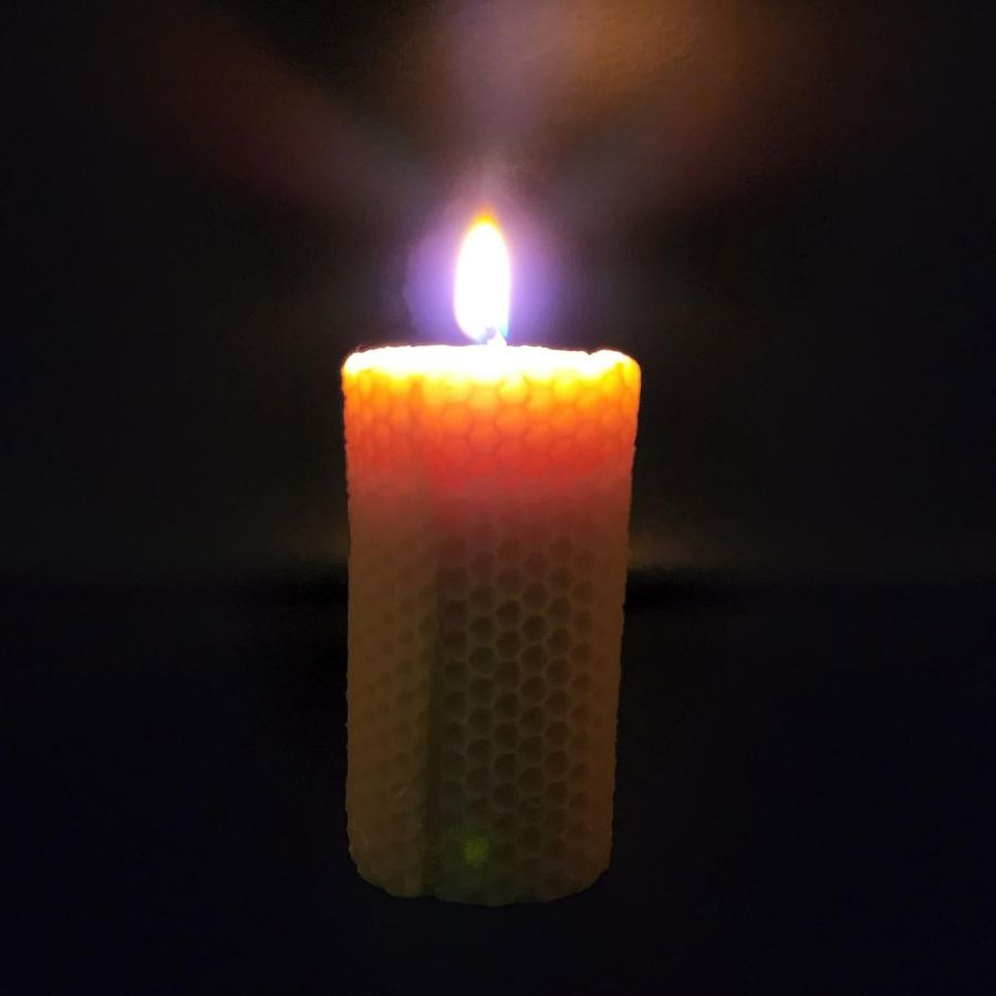 Honeycomb Bees Wax Candle | 6 oz | Buzz Savories, LLC